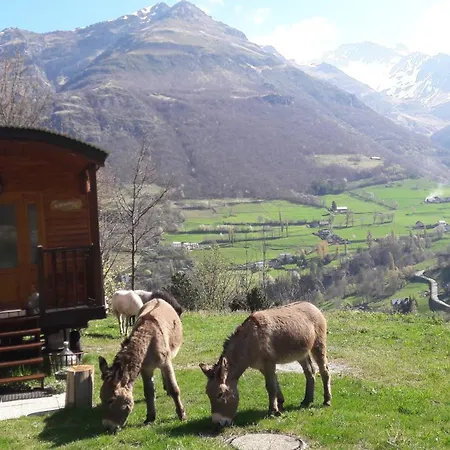 Edelweiss - Gavarnie Gèdre