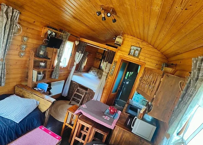 Edelweiss - Reves Douillets