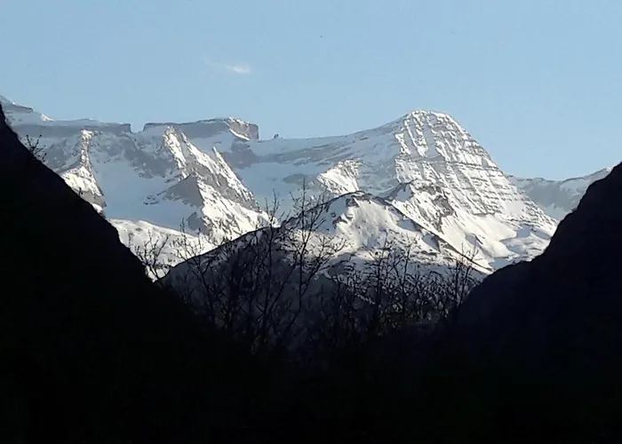 Edelweiss - Reves Douillets * Gèdre