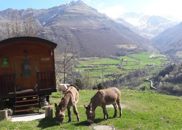 Edelweiss - Reves Douillets *