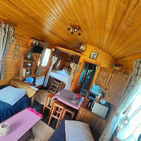 Edelweiss - Reves Douillets